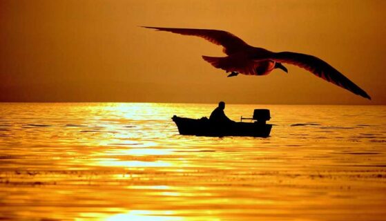 ‘Beşer’i ‘İnsan’ Kılmada Muallimin Önemi – Muhammet ATALAY