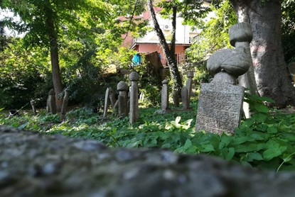 İnsan ve Ölüm Ötesi – Büşra Nur EVMEK